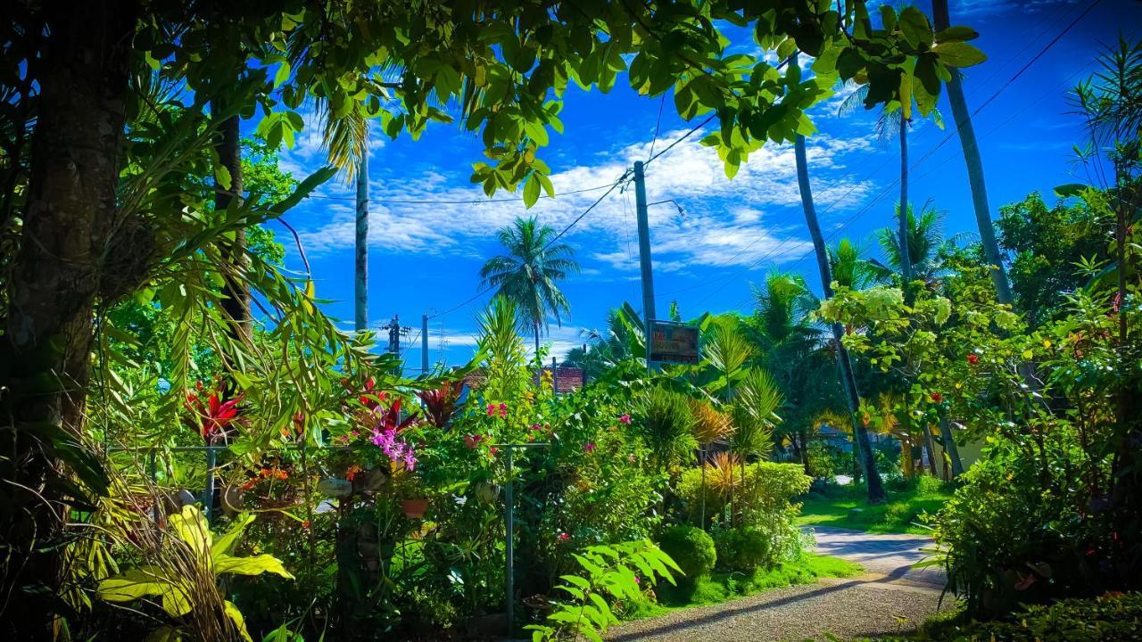 The Bay House Hotel Weligama Bagian luar foto