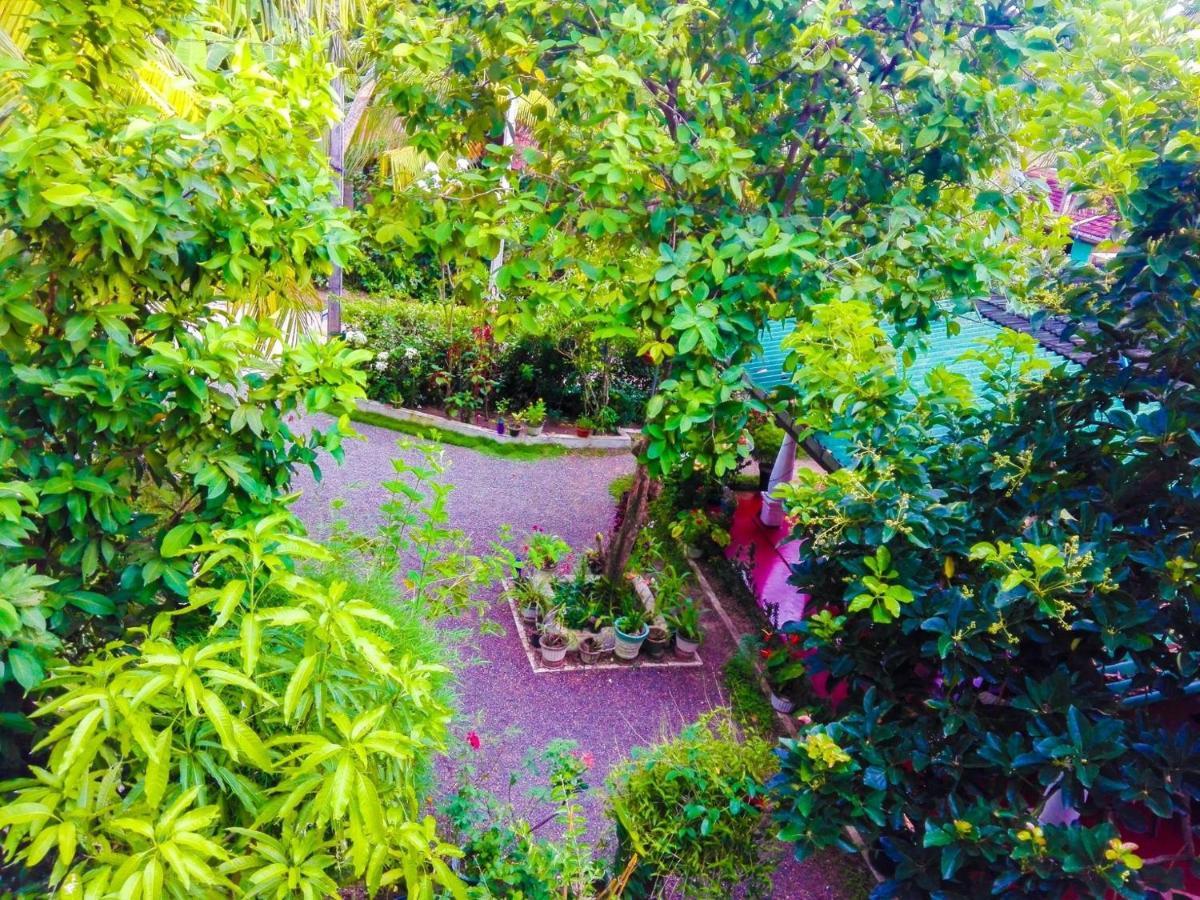 The Bay House Hotel Weligama Bagian luar foto