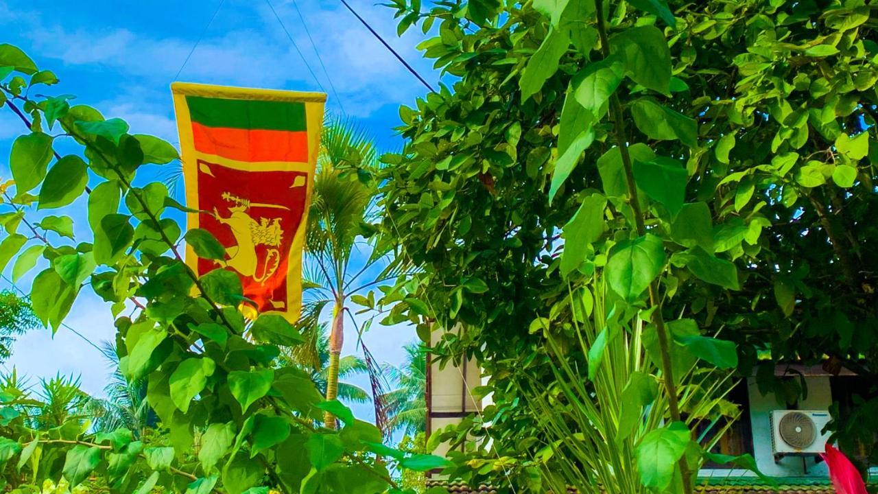 The Bay House Hotel Weligama Bagian luar foto